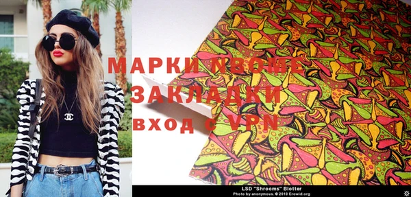 ПСИЛОЦИБИНОВЫЕ ГРИБЫ Вязники