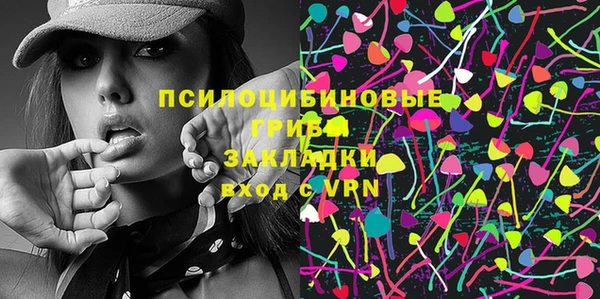 ПСИЛОЦИБИНОВЫЕ ГРИБЫ Вязники